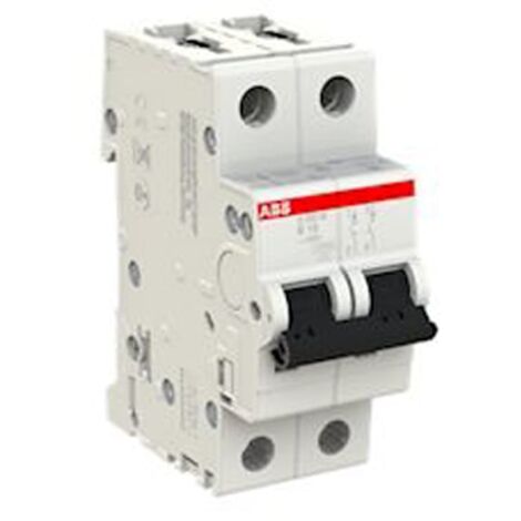 Disjoncteur S202M 2P 16A Courbe B Raccordement à vis - 15KA (2 modules) - 2CDS272001R0165