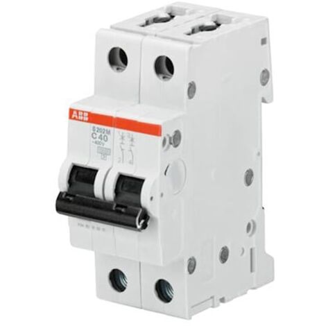 Disjoncteur S202M 2P 2A Courbe Z Raccordement à vis - 15KA (2 modules) - 2CDS272001R0278