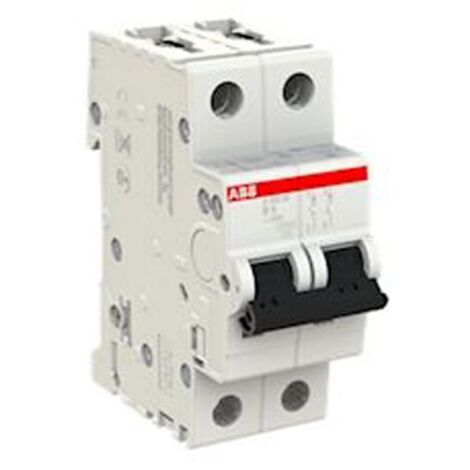 Disjoncteur S202M 2P 6A Courbe B Raccordement à vis - 15KA (2 modules) - 2CDS272001R0065