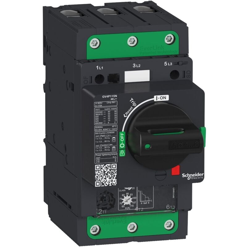 TeSys gv - disjoncteur magnéto-thermique - In 115A - 25kA - Everlink
