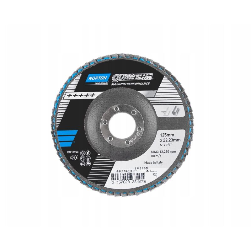 FP - Disk Foglie Quantum 125 Millimetri P60