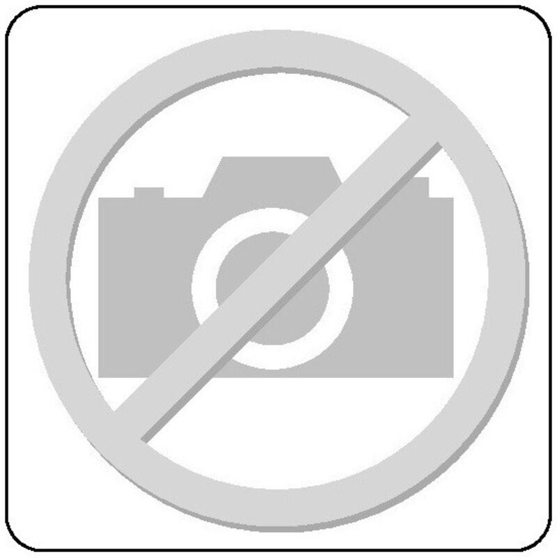 Dispositif de blocage pour gsr