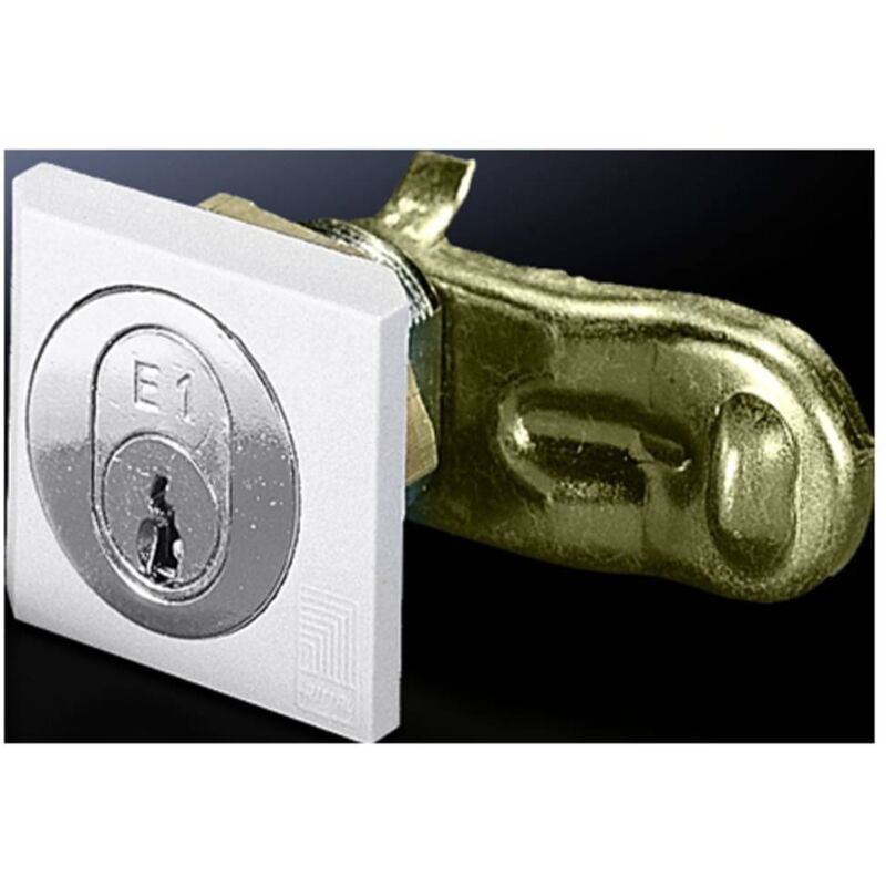 Rittal - Dispositif de verouillage fermeture de sécurité 2540.500 Polyamide 1 pc(s)