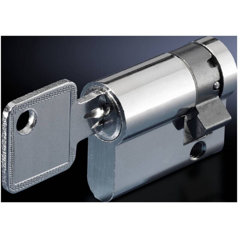 Dispositif de verouillage Rittal 9785.040 1 pc(s)