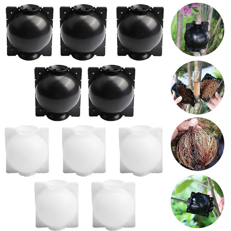 Dispositif d'enracinement de plantes 10 piècesBoîte de culture de racines de plantes
