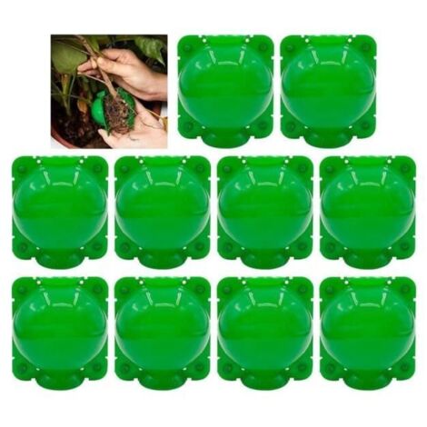 Dispositif d'enracinement des plantes - Boule de propagation en plastique - 10 pièces - Vert