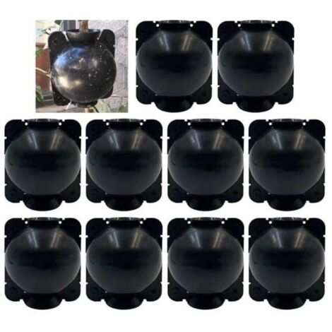 Dispositif d'Enracinement pour Plantes Boule - Lot de 10 - Vert