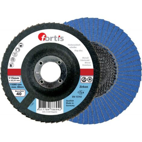 Disque a ébarder Forme dome 125mm Grain 60 FORTIS