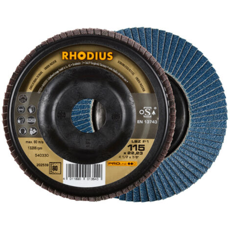 Disque à lamelle Rhodius LSZ P1 10 pièces