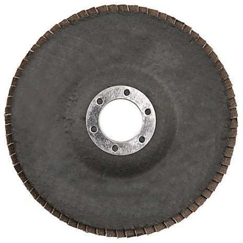 Disque à lamelles 125 mm, Grain 40