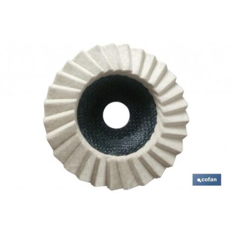 DISQUE À LAMELLES EN FEUTRE POUR POLISSAGE Ø115 G-D5/H25 - COFAN