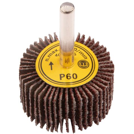 Disque à lamelles en graphite K60 - 40 x 20 mm pour bois, métal et plastique