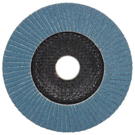 Disque à lamelles expert Ø 125 mm Grain - 60