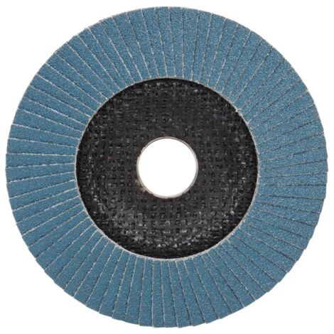 Disque à lamelles expert Ø 125 mm Grain - 80