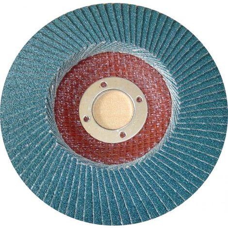 Disque à lamelles Gros grains 40 Diam 125mm SEA