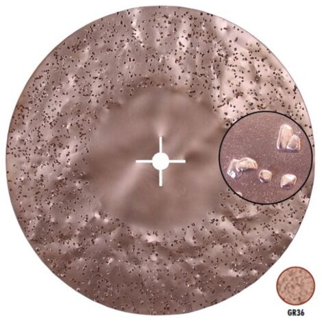 Disque abrasif biface au carbure de silicium grain36 SUPERTITINA RAIMONDI