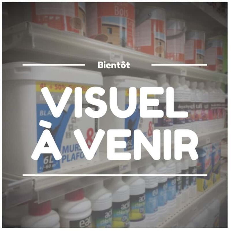 Finish - Disque Girafe VC152 Multihole D225 GR80 boite de 50 Hermes