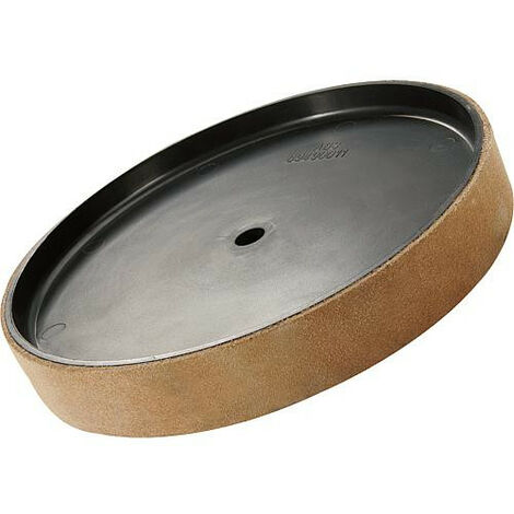 Disque d'affilage HOLZKRAFT pour NTS 200, diam. 220 x 30 mm