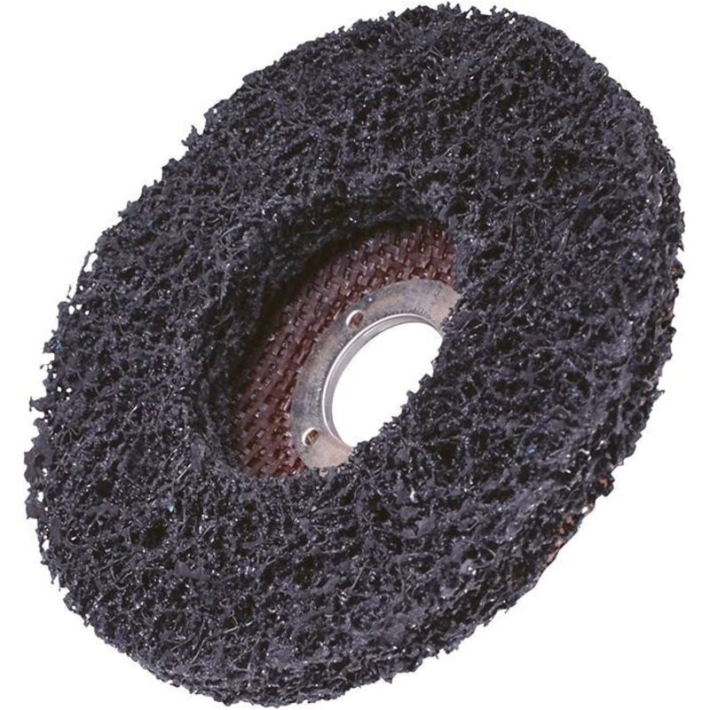 FP - Disque de nettoyage Rapid Strip courbé 125mm