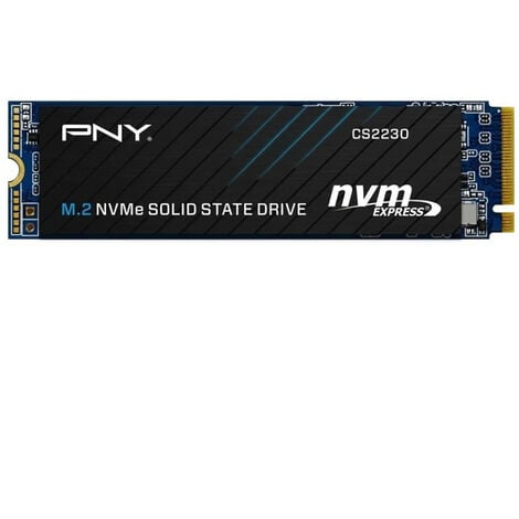 DISQUE DUR INTERNE SSD M.2 NVME PNY 250 GO