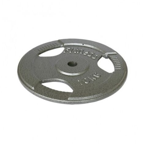 Disque en fer avec prise - 10 kg