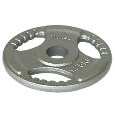 Disque en fer avec prise - 1,25 kg