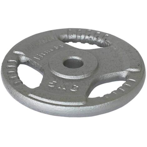 DISQUE EN FER AVEC PRISE - 25 KG