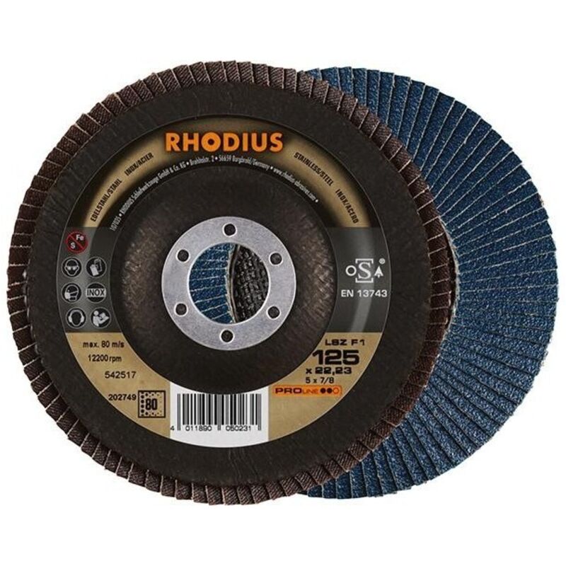 Disques &agrave; lamelles 125mm pour &eacute;bardage rhodius lsz-f1 125 durchm. 80