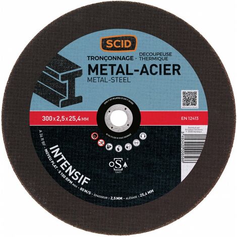Disque Moyeu Plat Machine élec  Chantier 300 X 2,5 25,4