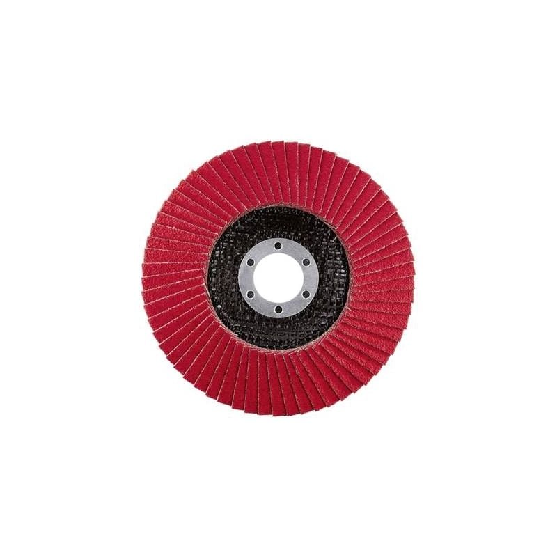 Disque segmenté Rhodius jumbo speed 208748 diamètre 125 mm 1 pc(s)