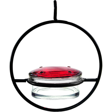 Distributeur de Nectar pour Colibris Suspendu Extérieur - 1 Pièce