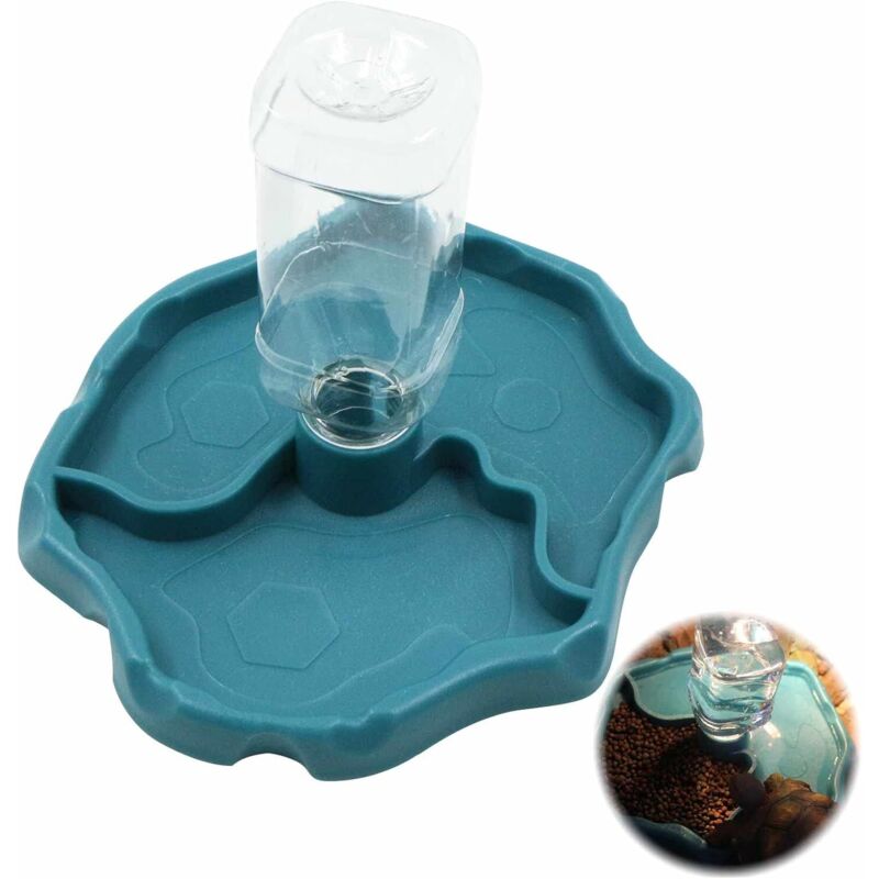 Distributeur d'eau pour animaux, bleu, 288 g, en plastique, accessoires pour reptiles pour tortue, lézard, tortue