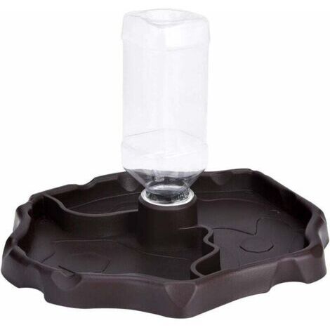 Distributeur d'eau pour Reptile, Distributeur 2 en 1 de Nourriture Anti Debordement Bol, Gam en Plastique pour Tortue Terrestre Gecko - Brun