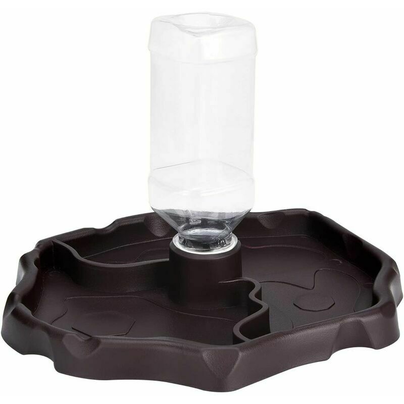Distributeur d'eau pour Reptile, Distributeur 2 en 1 de Nourriture Anti Debordement Bol, Gamelle en Plastique pour Tortue Terrestre Gecko - Brun