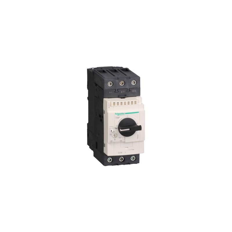 

Disyunt Magnetoterm 17...25A Schneider Electric Gv3P25