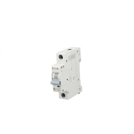 Disyuntor 1P C 40A 6kA CA xPole Home HNC401 194835