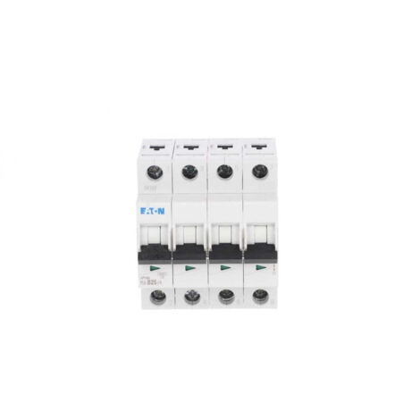 Disyuntor 4P B 25A 6kA CA PL6B254 166498