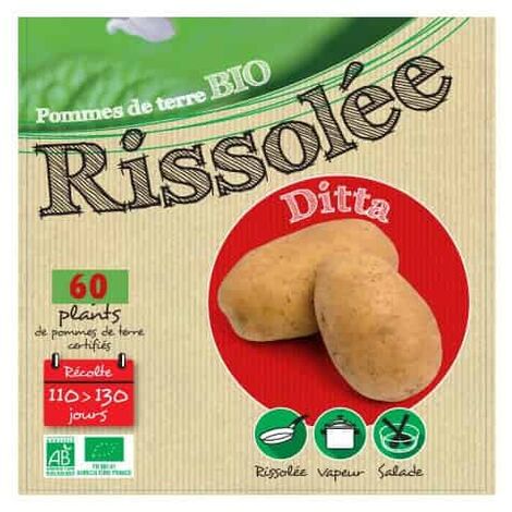Ditta Biologique 60 Plants de pomme de terre. . Marque : DEBAERE. Réf. : Ditta Biologiqu