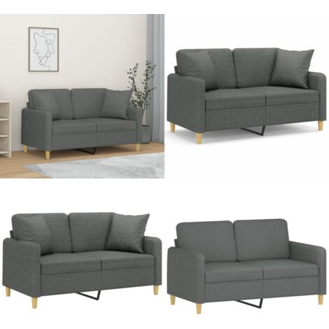 Divano a 2 Posti con Cuscini Grigio Scuro 120 cm in Tessuto - Cuscini decorativi - Divano in tessuto