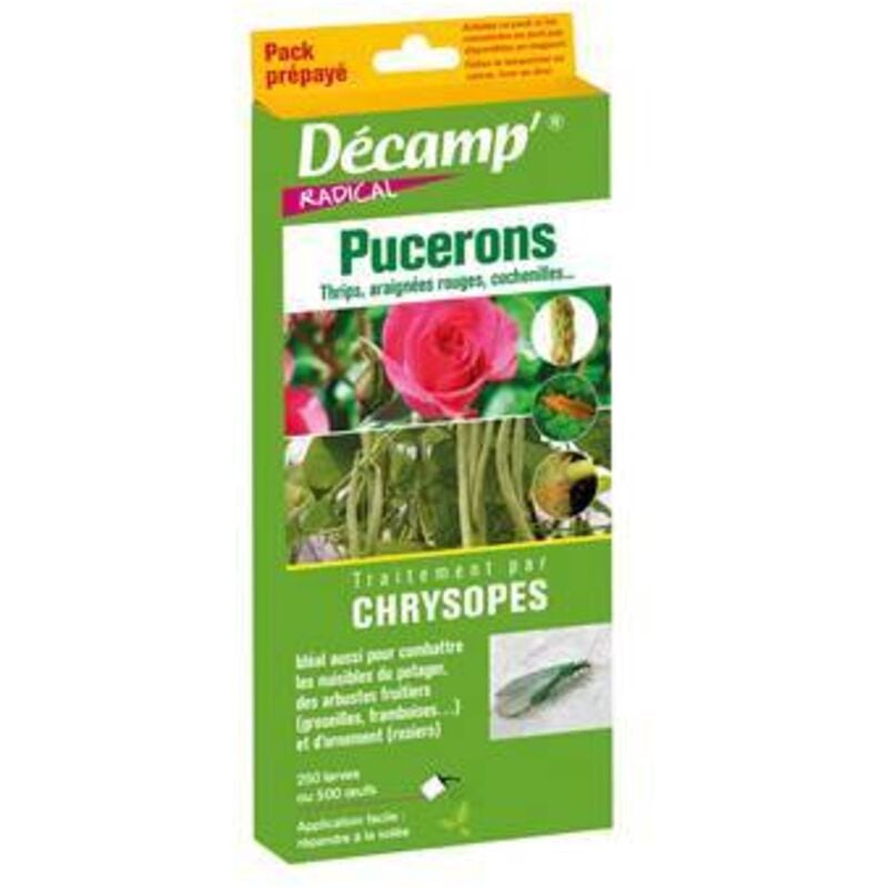 Fabre Graines - pack prepaye chrysopes - insectes auxiliaires - entretien