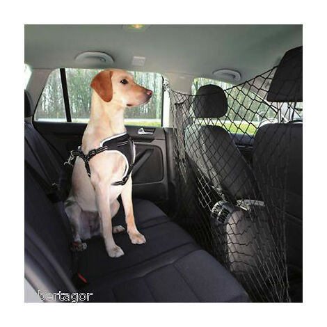 Ferplast Griglia Auto pr Cani, Divisorio Auto per Cani Protezione per Auto  per Cani DOG CAR SECURITY per il trasporto di cani, universale, in acciaio