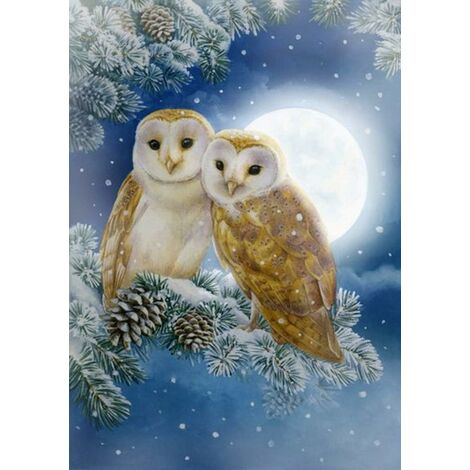 DIY 5D Square diamond painting strass complet Kit de broderie diamant carré 5D à faire soi-même,peinture numéro adulte point de croix pour loisirs créatifs Motif hibou - 30 x 40 cm