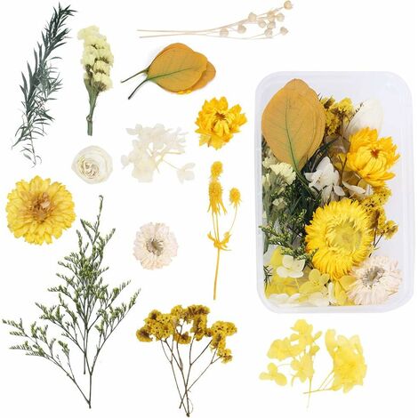 DIY Natural Dried Flower Set with Dried Flower Storage Box Yellow Daisy Hydrangea Eucalypt