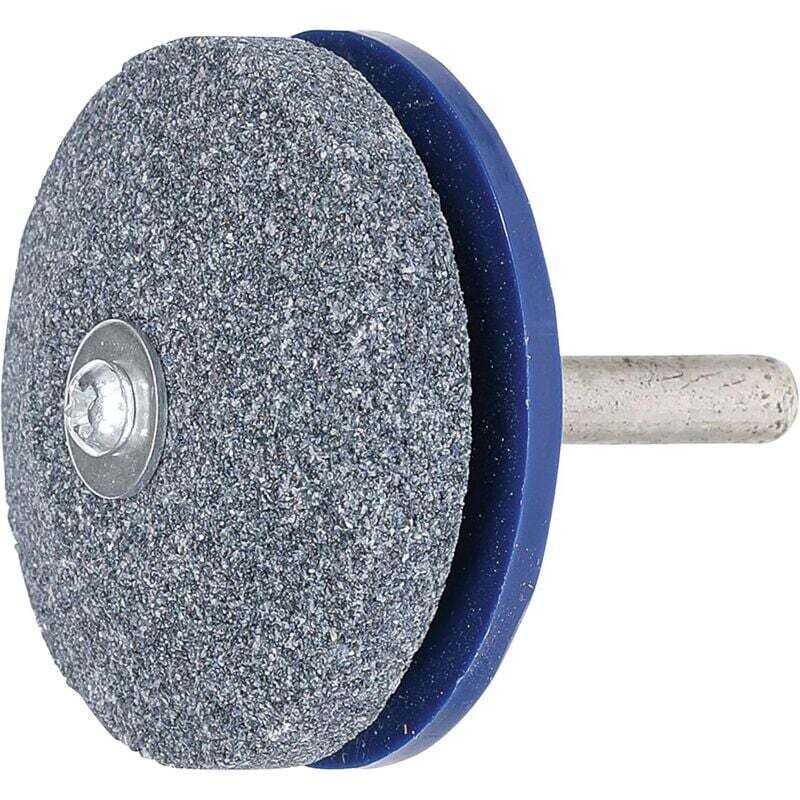 Image of DIY-Schärfscheibe für Gartengeräte - Fei Yu