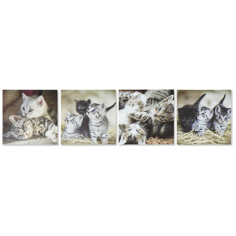 

DKD Home Decor Cuadro DKD Home Decor Gatos (28 x 1.5 x 28 cm) (4 pcs)