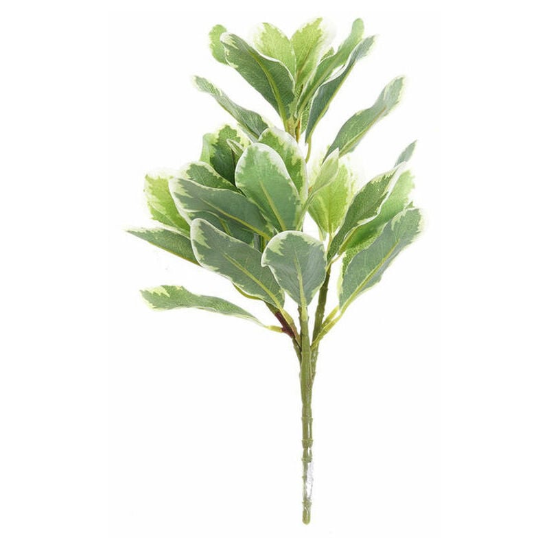 

Flor Decorativa Verde PVC (20 x 15 x 32 cm) - Dkd Home Decor