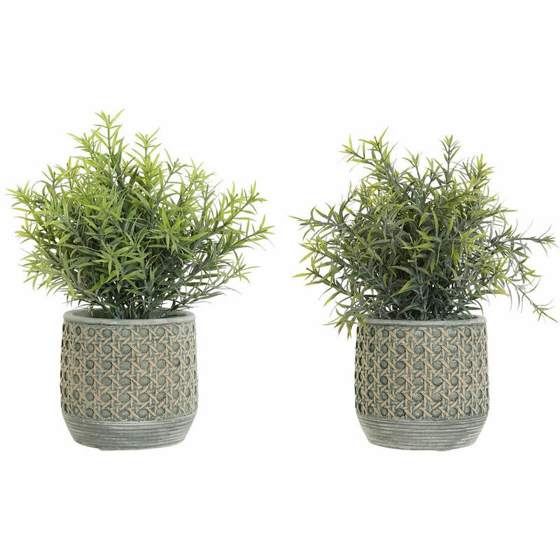 

Dkd Home Decor - Planta Decorativa Polietileno Verde Resina (12 x 12 x 30 cm) (2 pcs)