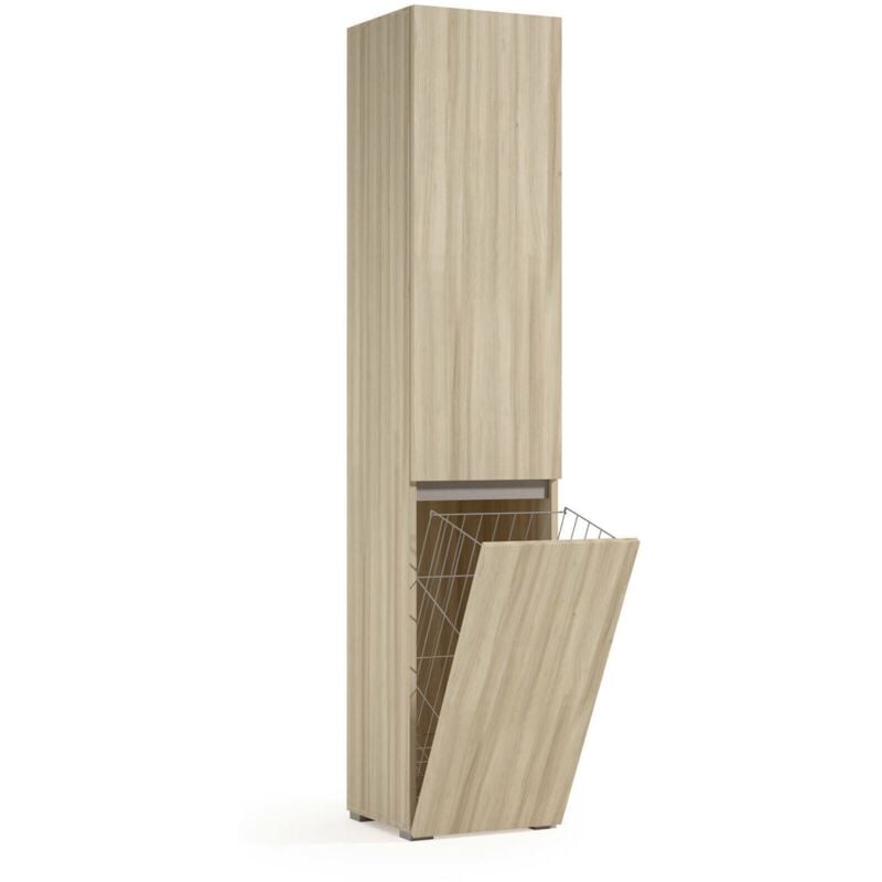 Dmora - Armoire polyvalente Agapanto 2 portes, buanderie 2 portes, colonne de salle de bain avec panier à linge, 100% Made in Italy, 45x37h195 cm,