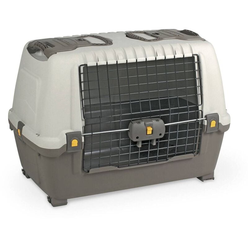 Dmora - Cage de transport rigide pour chiens ou chats en polypropylène, cage portable avec tapis, 100% Made in Italy, 76x45h54 cm, couleur grise