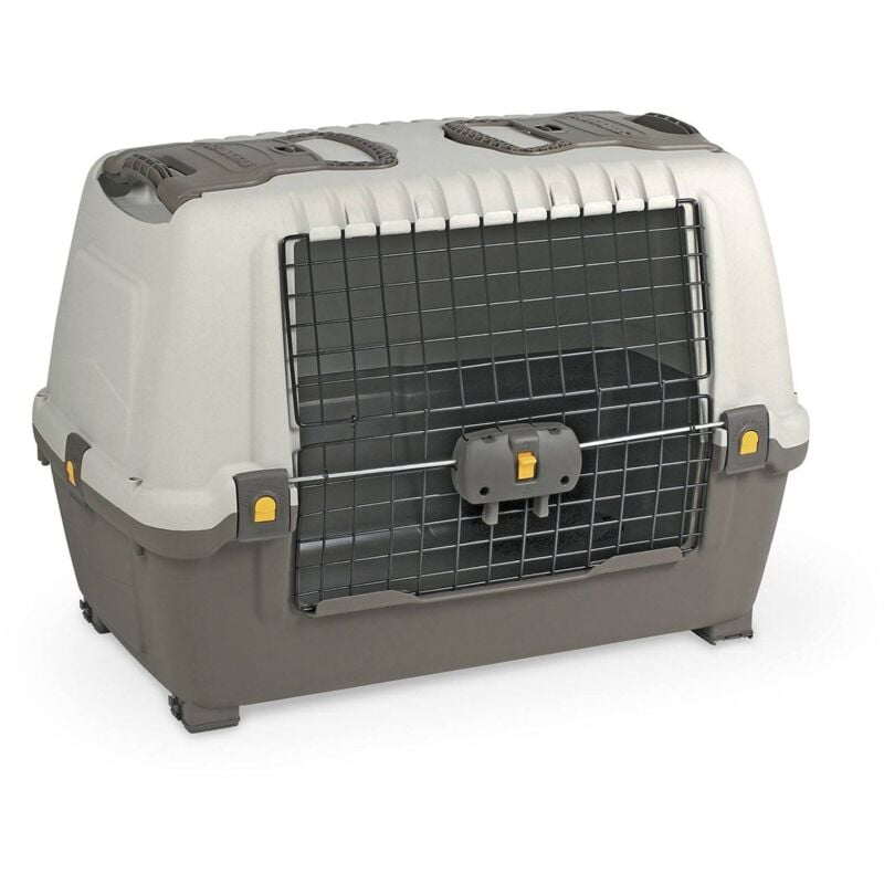 Dmora - Cage de transport rigide pour chiens ou chats en polypropylène, cage portable avec tapis, 100% Made in Italy, 88x52h62 cm, couleur grise